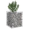 vidaXL Gabion hevet seng s&oslash;lv 50 x 50 x 60 cm Galvanisert St&aring;l