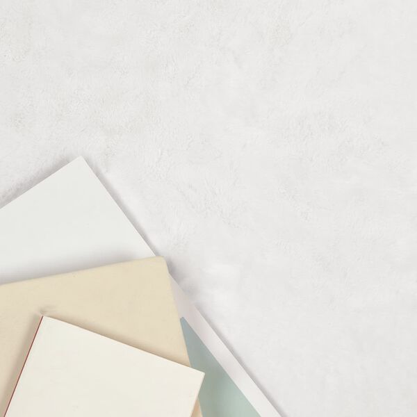 vidaXL Kunstpels Kanin Teppe Olite Hvit 50 x 80 cm Polyester