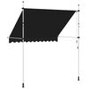 vidaXL Manuell uttrekkbar markise 250 cm antrasitt