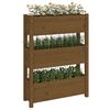 vidaXL Plantekasse honningbrun 77x25x104,5 cm heltre furu