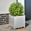Miniatyrbilde av produktet 2 av 13