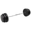 vidaXL Curl-vektstang med skiver 90 kg
