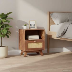 vidaXL Nattbord 40x30x50 cm heltre mango