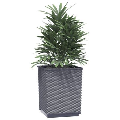 vidaXL Plantekasser 4 stk mørkegrå 30x30x37 cm polypropylen