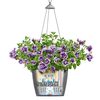 LECHUZA Plantekasse NIDO Cottage 35 ALL-IN-ONE grafittsvart