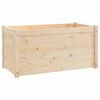 vidaXL Plantekasser 2 stk 100x50x50 cm heltre furu