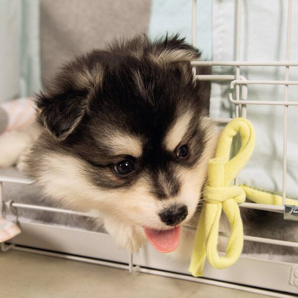 Beeztees Hundebur 62x44x49 cm gr&aring;