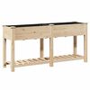 vidaXL Hageblomsterpotte Beige 161 x 43 x 76,5 cm Massiv Furu Tre