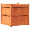 vidaXL Plantekasser 2 stk brun heltre furu