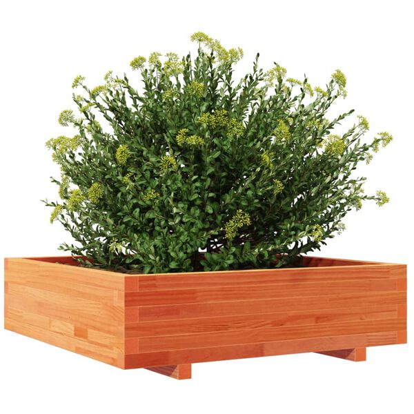 Viser 4 av 10 produktbilde(r)