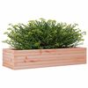vidaXL Plantekasse 110x40x23 cm heltre douglasgran