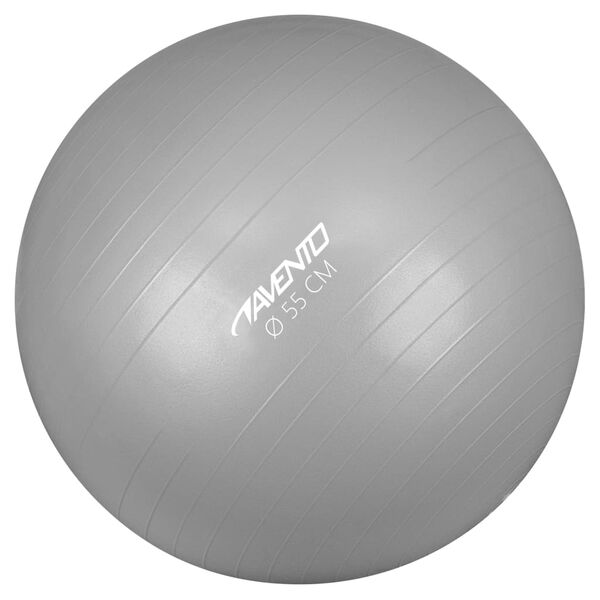Avento Fitnessball diameter 55 cm s&oslash;lv