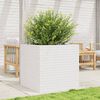 Miniatyrbilde av produktet 3 av 10