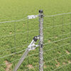 Miniatyrbilde av produktet 4 av 15