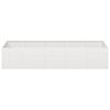 vidaXL Plantekasse 200x80x40 cm rustfritt st&aring;l