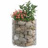 vidaXL Sirkulær gabion stolpe galvanisert stål Ø50x50 cm