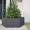 Miniatyrbilde av produktet 2 av 10
