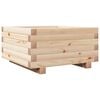 vidaXL Plantekasse 50x50x26,5 cm heltre furu