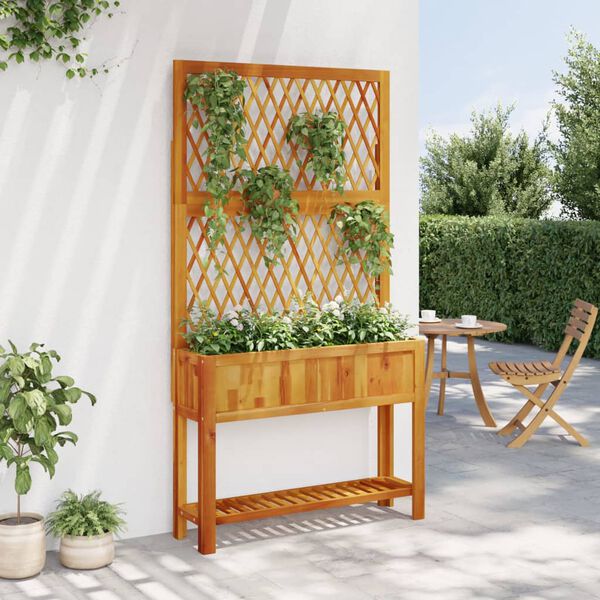 vidaXL Plantekasse med espalier og hylle 100x32x185 cm heltre akasie
