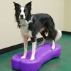 FitPAWS Balanseplatform for dyr Giant K9FITbone PVC fiolett