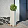 Miniatyrbilde av produktet 2 av 12