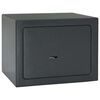 vidaXL Safe Box med l&aring;s M&oslash;rkegr&aring; 23 x 17 x 17 cm St&aring;l