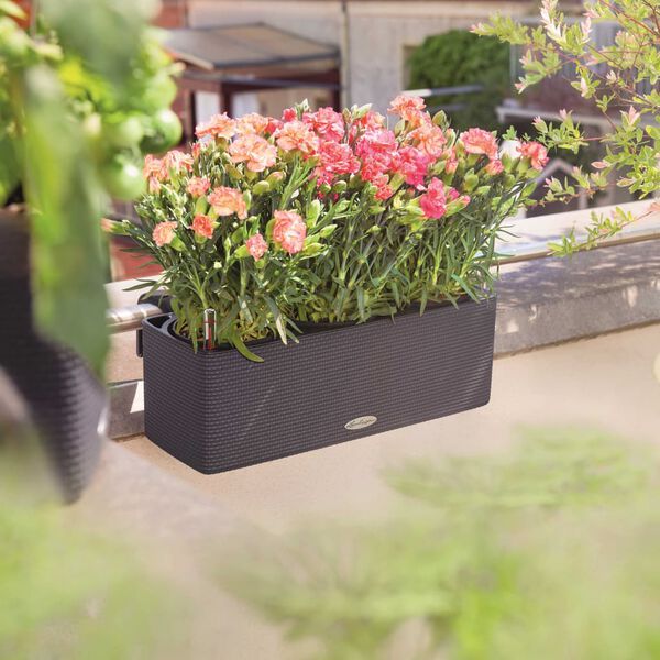 Viser 2 av 10 produktbilde(r)