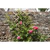 Nature Hageespalier 100x200 cm bambus 6040722