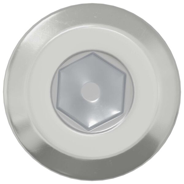 vidaXL Hodeskrue 2 pcs s&oslash;lv M6 x 15 mm St&aring;l