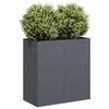 vidaXL Plantekasse antrasitt 80x40x80 cm kaldvalset st&aring;l