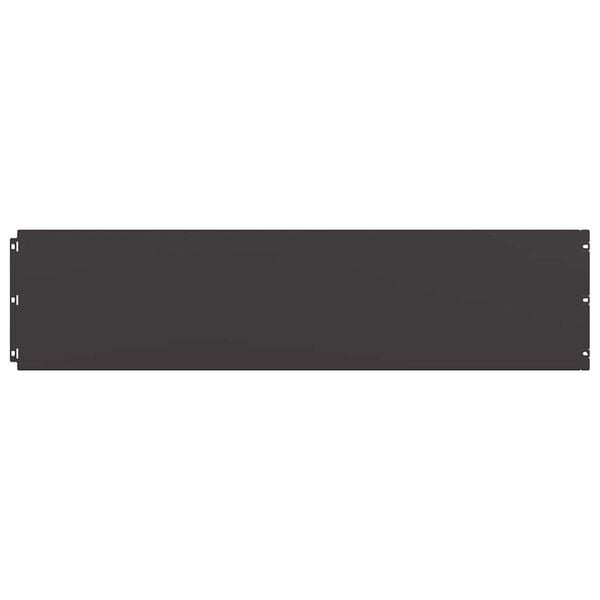 vidaXL Plenkanter 10 stk svart 25x103 cm kaldvalset st&aring;l