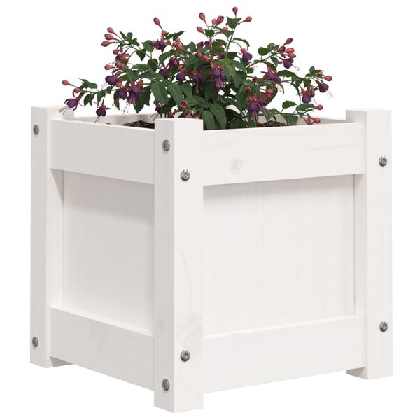 Viser 4 av 12 produktbilde(r)