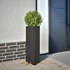 Miniatyrbilde av produktet 2 av 10