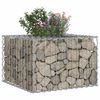 vidaXL Gabion hevet seng s&oslash;lv 60 x 60 x 40 cm Galvanisert St&aring;l