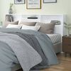 Miniatyrbilde av produktet 2 av 8
