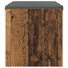 vidaXL Gangbenk med pute Gammelt tre 63 x 38 x 40 cm
