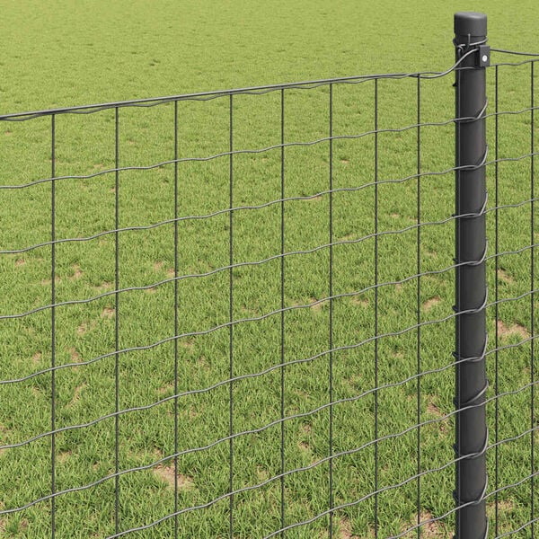 vidaXL Euro gjerde Gr&aring; 1 x 25 m PVC-belagt jern