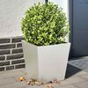 Miniatyrbilde av produktet 2 av 12