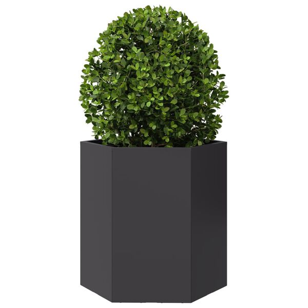 Viser 3 av 10 produktbilde(r)