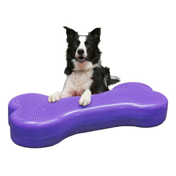FitPAWS Balanseplatform for dyr Giant K9FITbone PVC fiolett