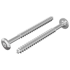 vidaXL Trefester 2 pcs s&oslash;lv M6 x 70 mm St&aring;l