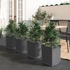 Miniatyrbilde av produktet 2 av 8