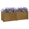 vidaXL Plantekasse honningbrun 150x50x50 cm heltre furu