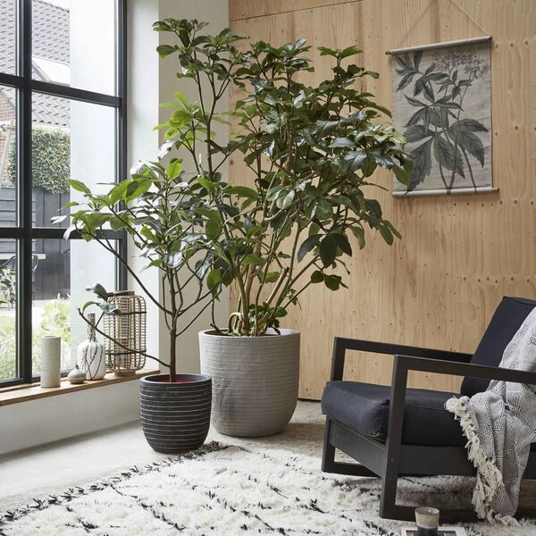 Capi Eggformet plantepotte Nature Row 35x34 cm antrasitt KRWZ932