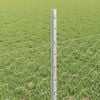 Miniatyrbilde av produktet 4 av 13