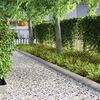 Miniatyrbilde av produktet 4 av 12