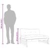 vidaXL Midtsofa 120x80 cm heltre douglasgran
