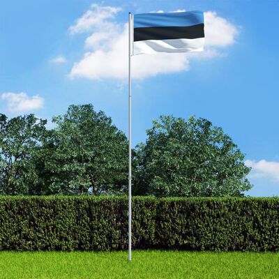 vidaXL Estisk flagg og stang aluminium 6 m
