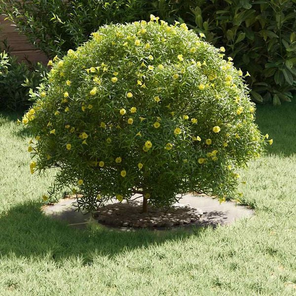 vidaXL passende for Flat Tre Ring sølv Ø30 / 60 cm Rustfritt stål