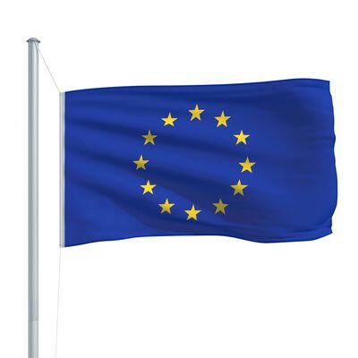 vidaXL Europeisk flagg og stang aluminium 6,2 m
